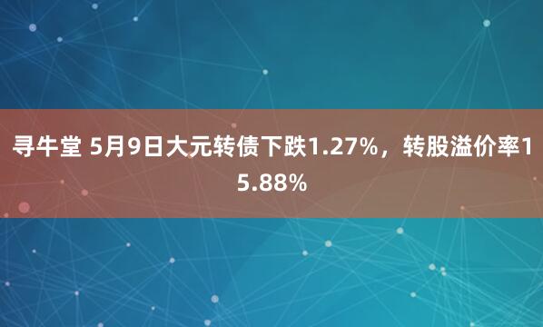 寻牛堂 5月9日大元转债下跌1.27%，转股溢价率15.88%