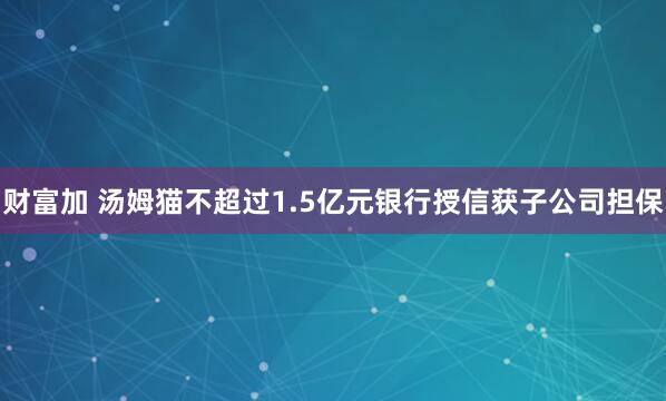 财富加 汤姆猫不超过1.5亿元银行授信获子公司担保