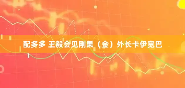 配多多 王毅会见刚果(金)外长卡伊宽巴